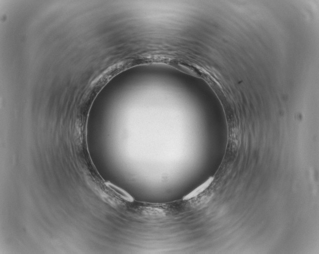 X0000087030572200704301342