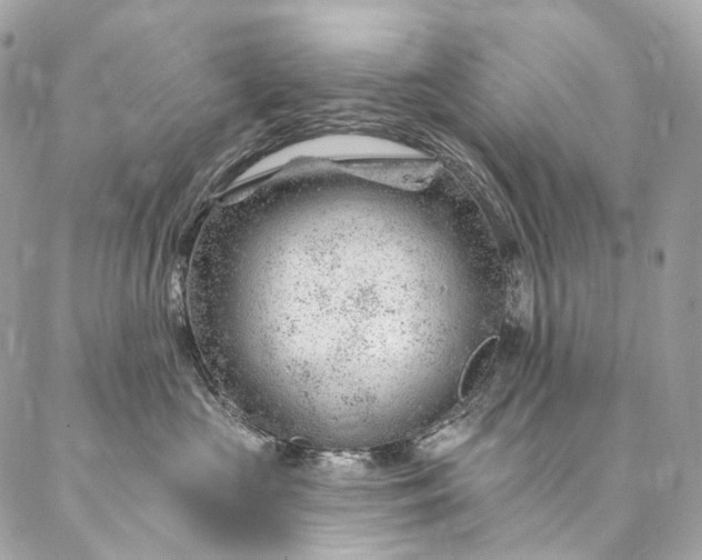 X0000087030573200704301342