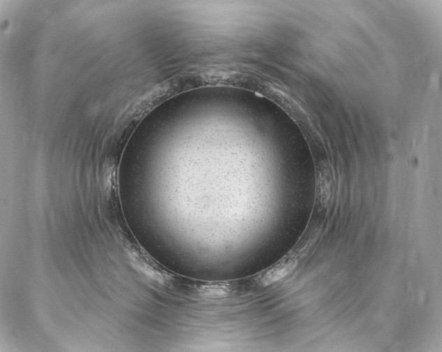 X0000087030574200704301342