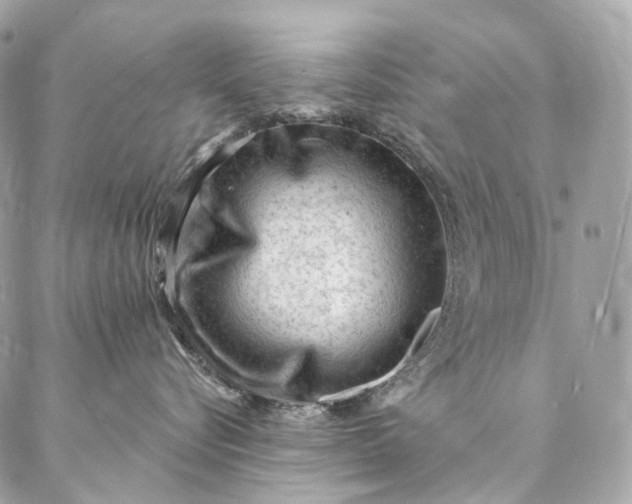 X0000087030576200704301342