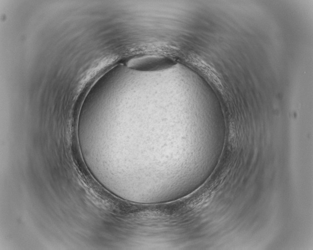 X0000087030578200704301341