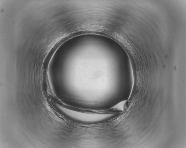 X0000087030580200704301341