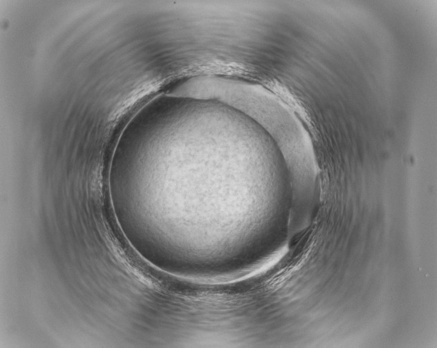 X0000087030581200704301341