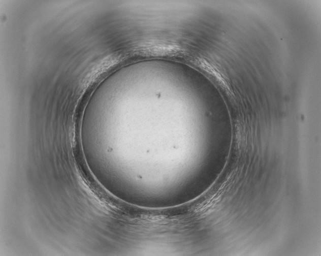 X0000087030582200704301341