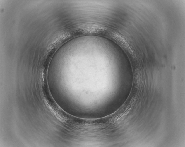 X0000087030590200704301341