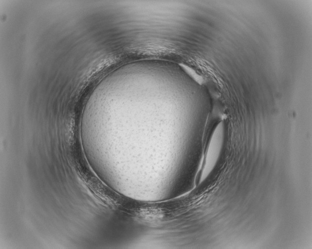 X0000087030591200704301341