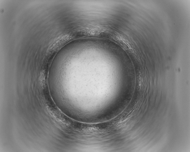 X0000087030594200704301341