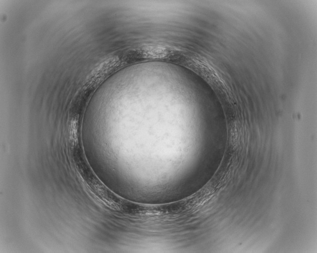 X0000087030598200704301341