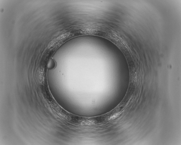 X0000087030599200704301341