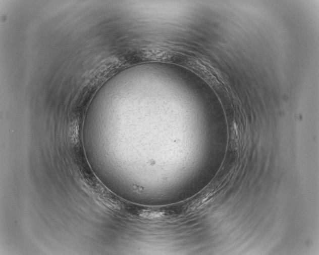 X0000087030602200704301341