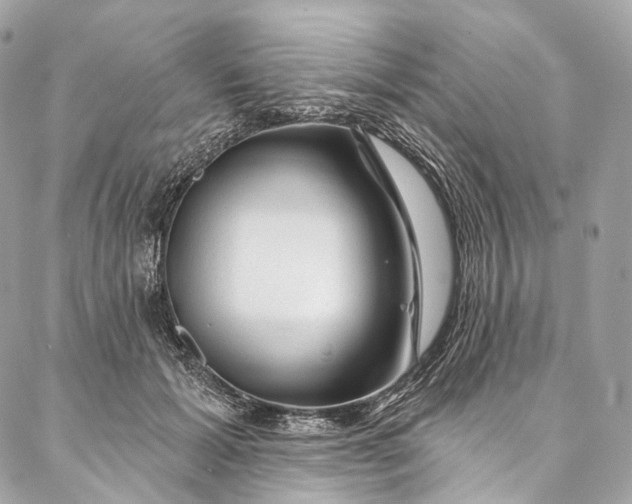 X0000087030605200704301341