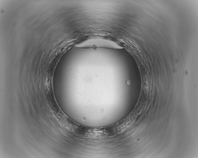 X0000087030607200704301341