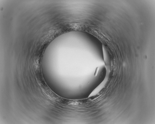 X0000087030611200704301341