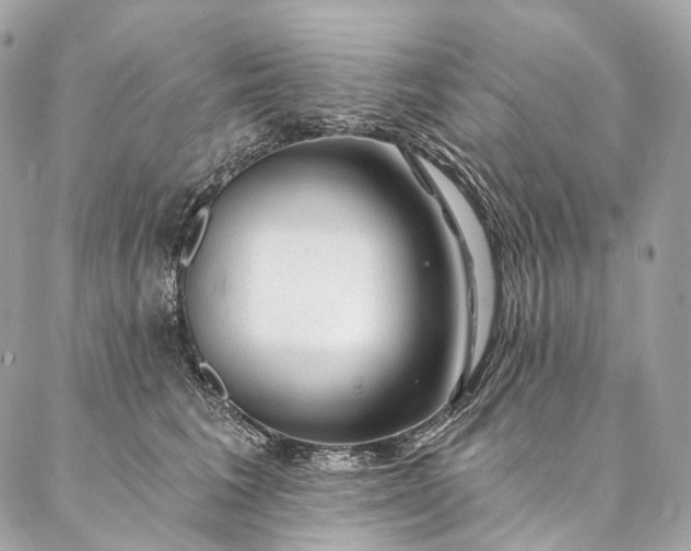 X0000087030613200704301341