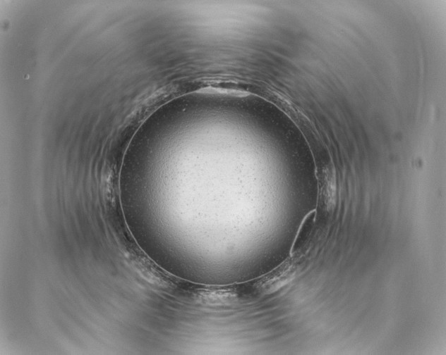 X0000087030619200704301341