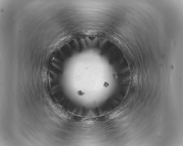 X0000087030620200704301341