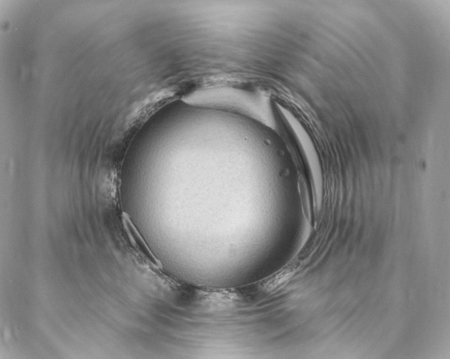 X0000087030621200704301341