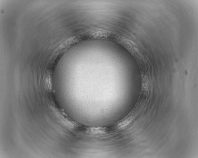 X0000087030622200704301341