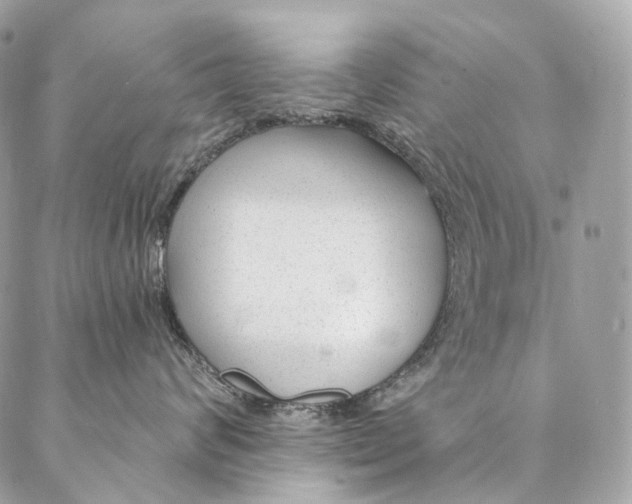 X0000087030624200704301341