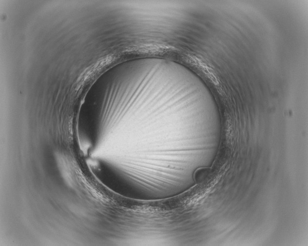 X0000087030633200704301340