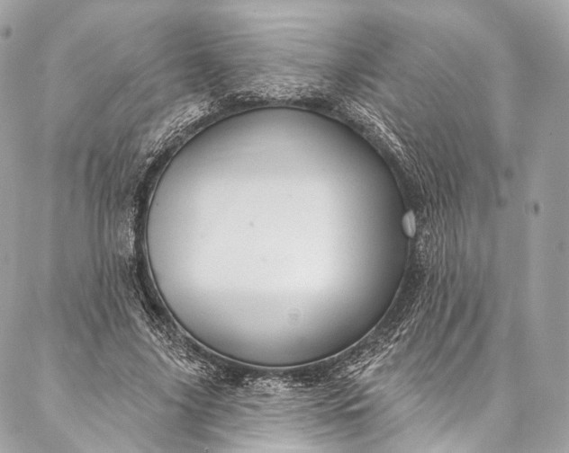 X0000087030635200704301340