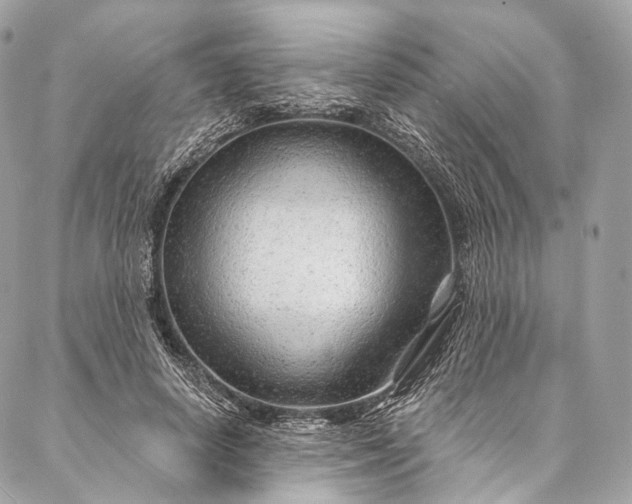 X0000087030642200704301340
