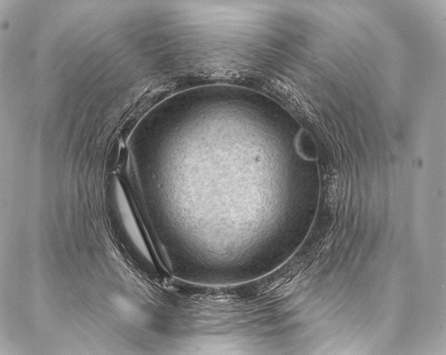 X0000087030643200704301340