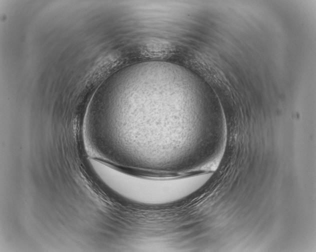 X0000087030647200704301340