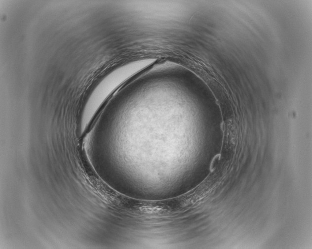 X0000087030650200704301340