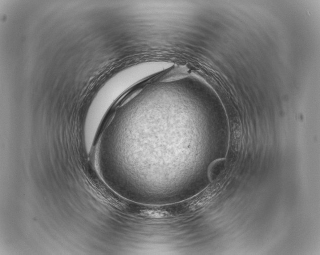 X0000087030654200704301340