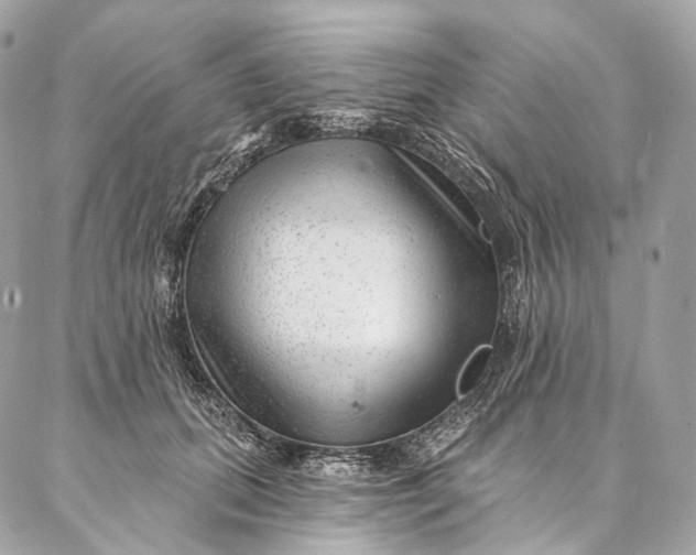 X0000087030655200704301340