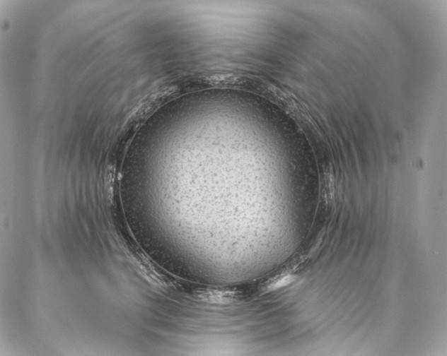 X0000087030664200704301341