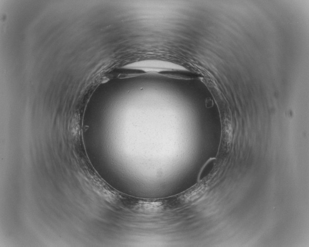 X0000087030665200704301341