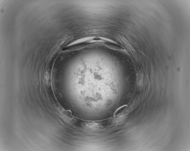 X0000087030669200704301341