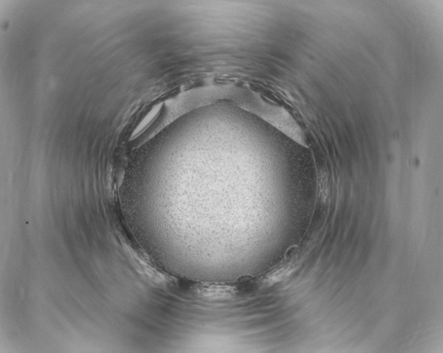 X0000087030670200704301341