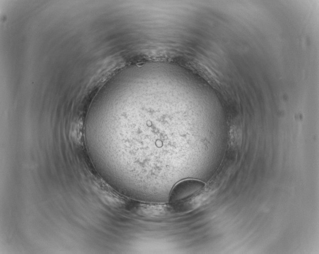 X0000087030671200704301341