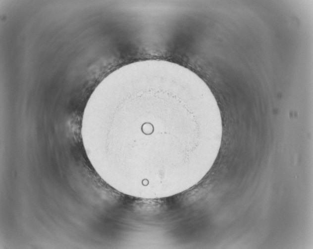 X0000087030672200704301341