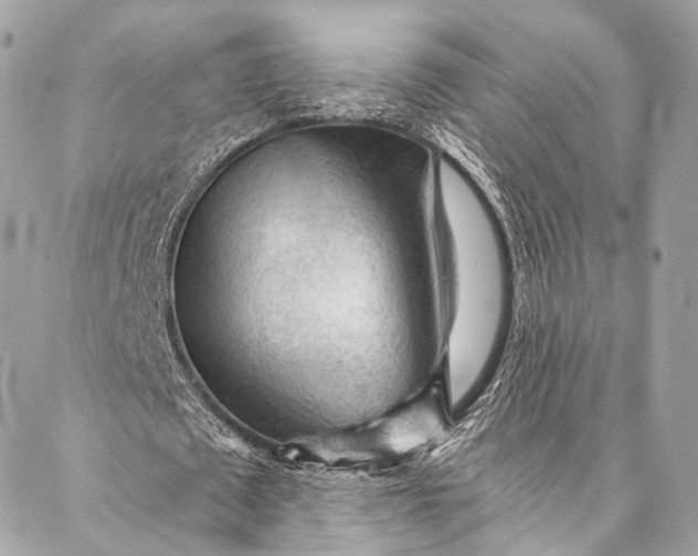 X0000087030673200704301340