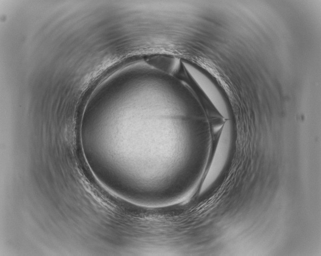 X0000087030677200704301340