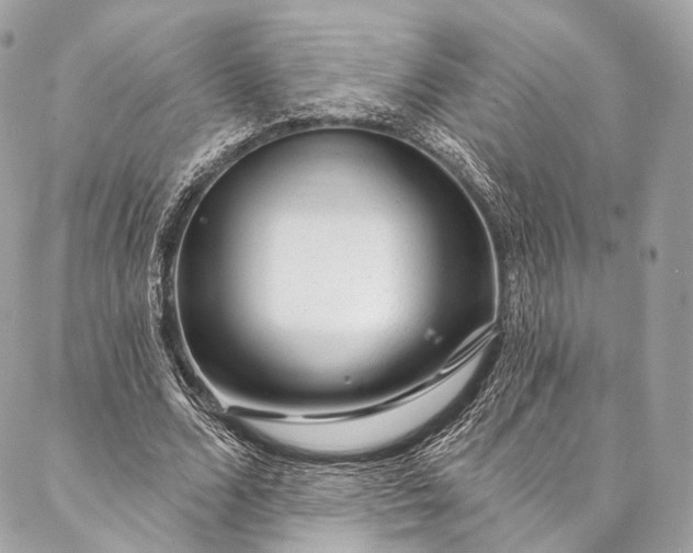 X0000087030680200704301340