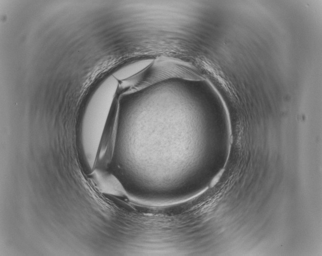 X0000087030685200704301340