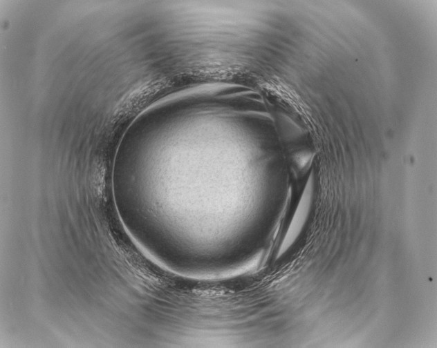 X0000087030693200704301340