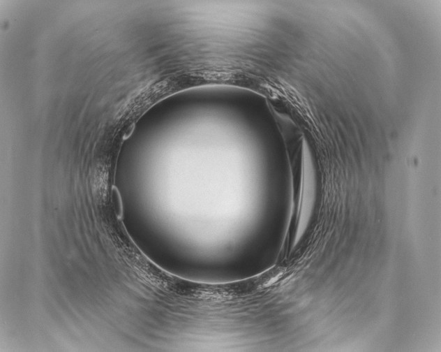 X0000087030697200704301339