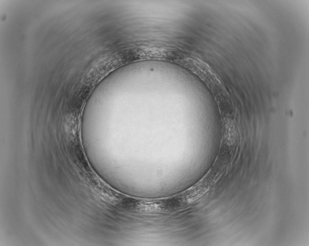 X0000087030701200704301339