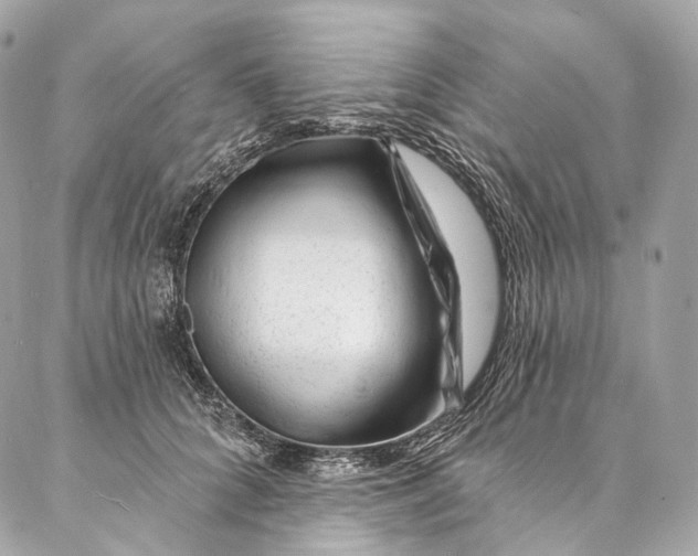 X0000087030704200704301339