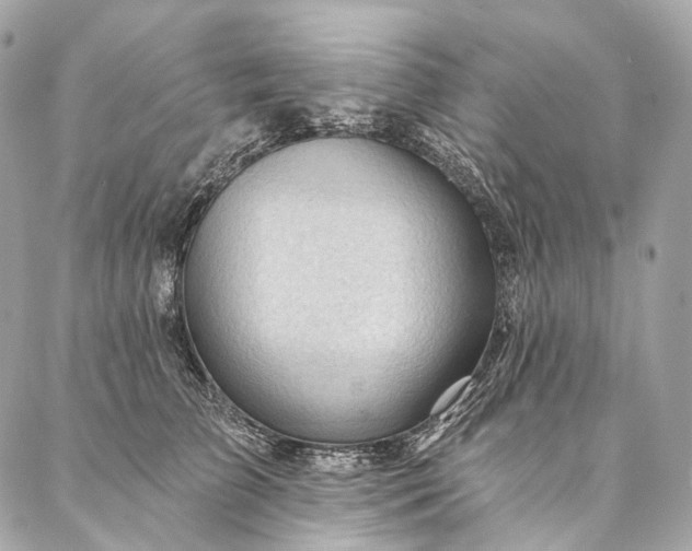 X0000087030709200704301339