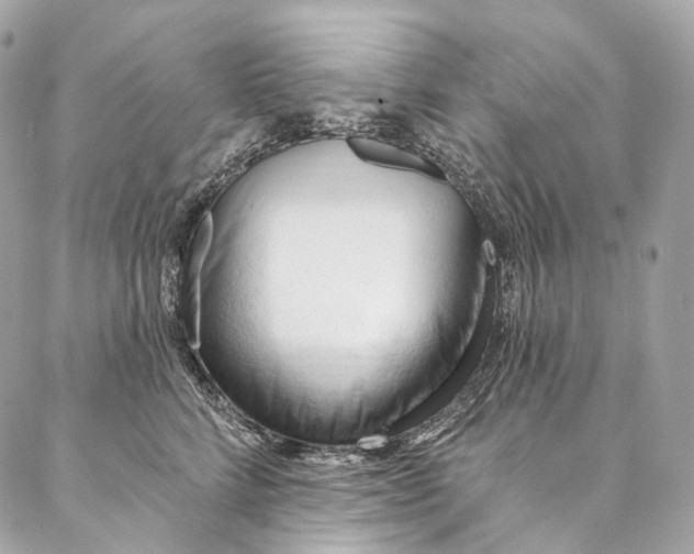 X0000087030712200704301339