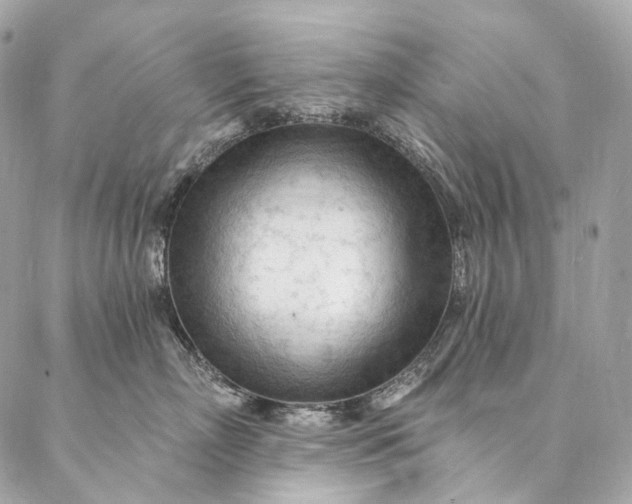 X0000087030718200704301339