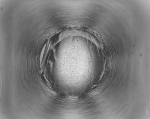 X0000087030719200704301339