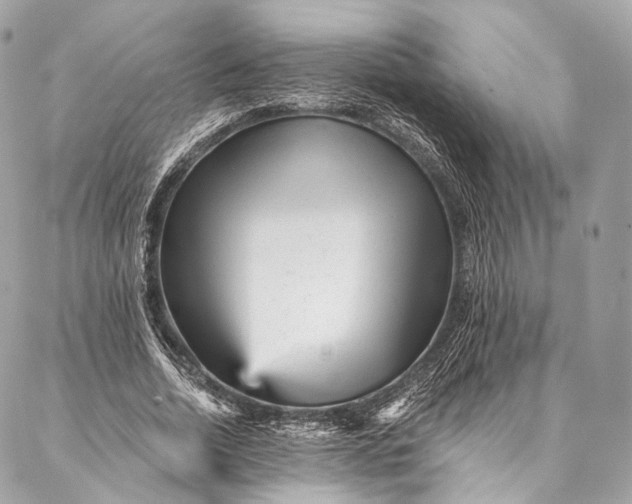 X0000087030730200704301338